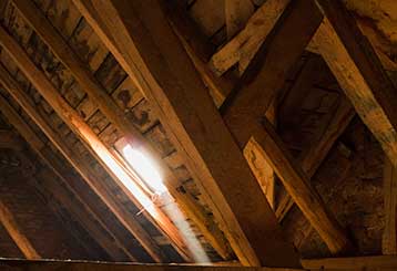 Crawl Space Cleaning | Attic Cleaning Richmond, CA