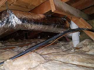 Attic Cleaning Is Important | Attic Cleaning Richmond, CA Attic Cleaning Is Important | Attic Cleaning Richmond, CA