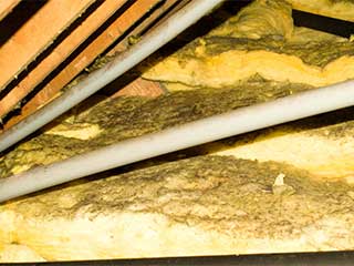 Insulation Removal | Attic Cleaning Richmond, CA Insulation Removal | Attic Cleaning Richmond, CA
