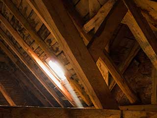 Crawl Space | Attic Cleaning Richmond, CA Crawl Space | Attic Cleaning Richmond, CA